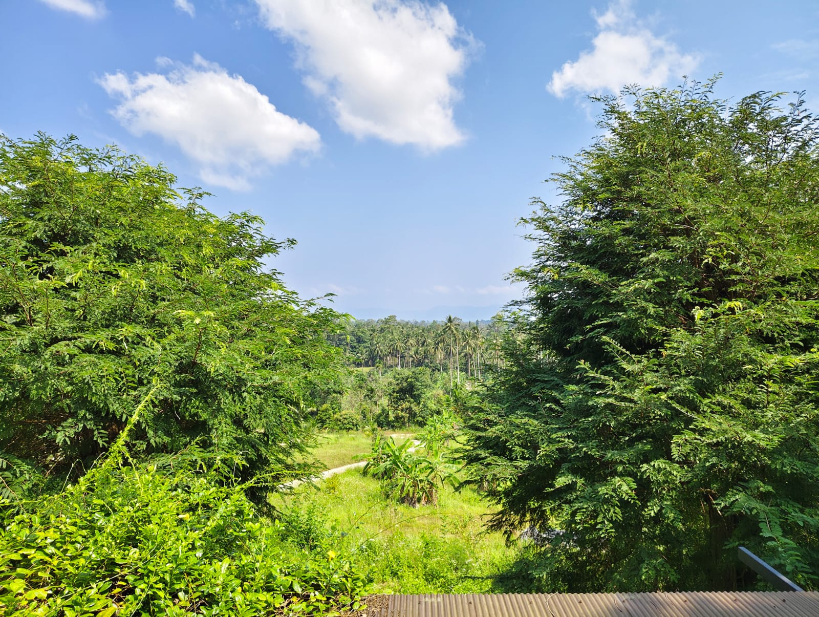 Land with Mountain view for sale in Meanam (3rai) 