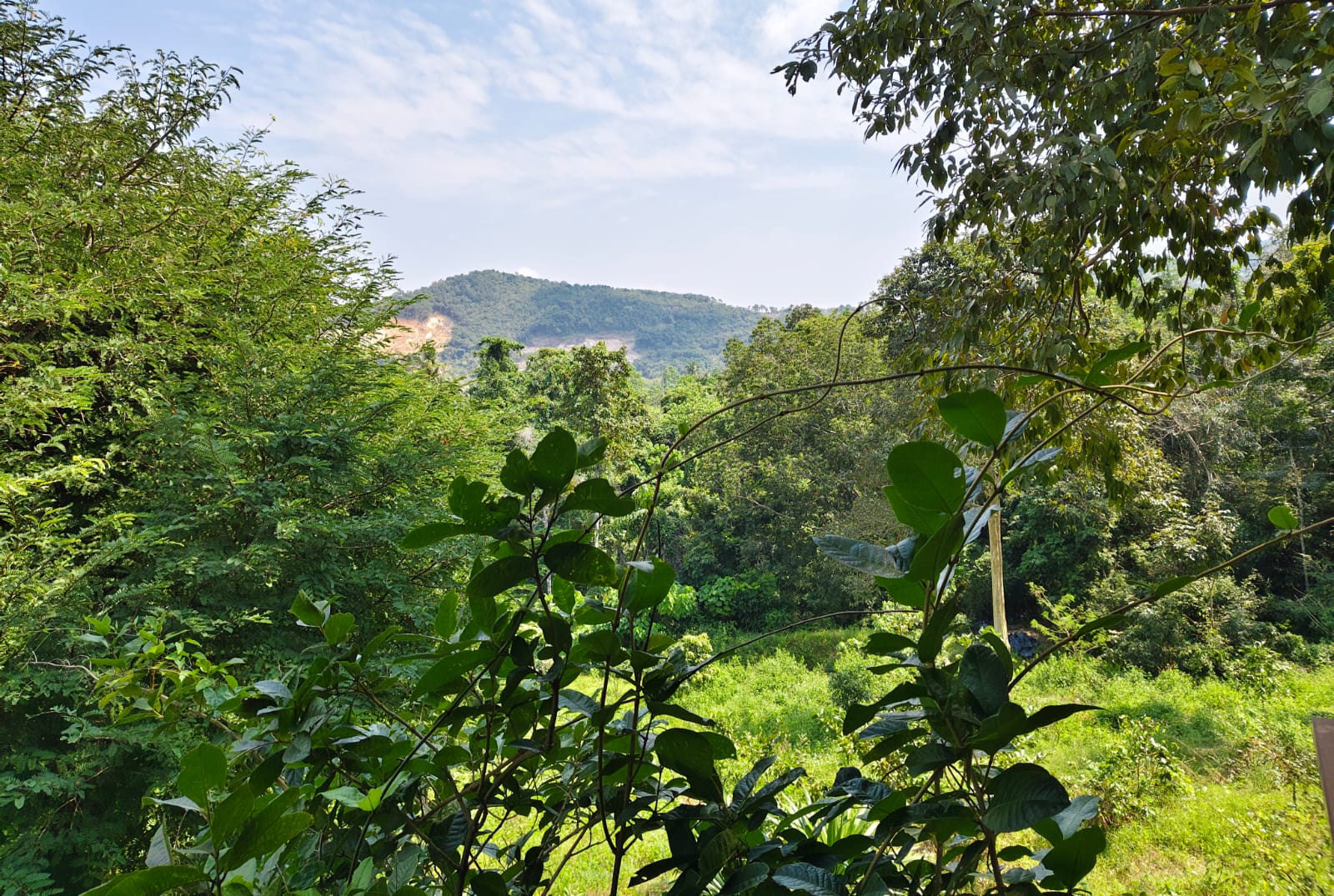 Land with Mountain view for sale in Meanam (3rai) 